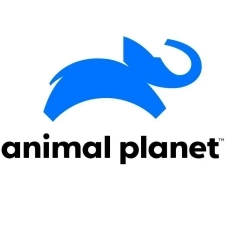  Animal Planet 